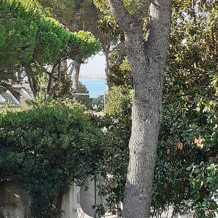 La Bouganville Appartamento